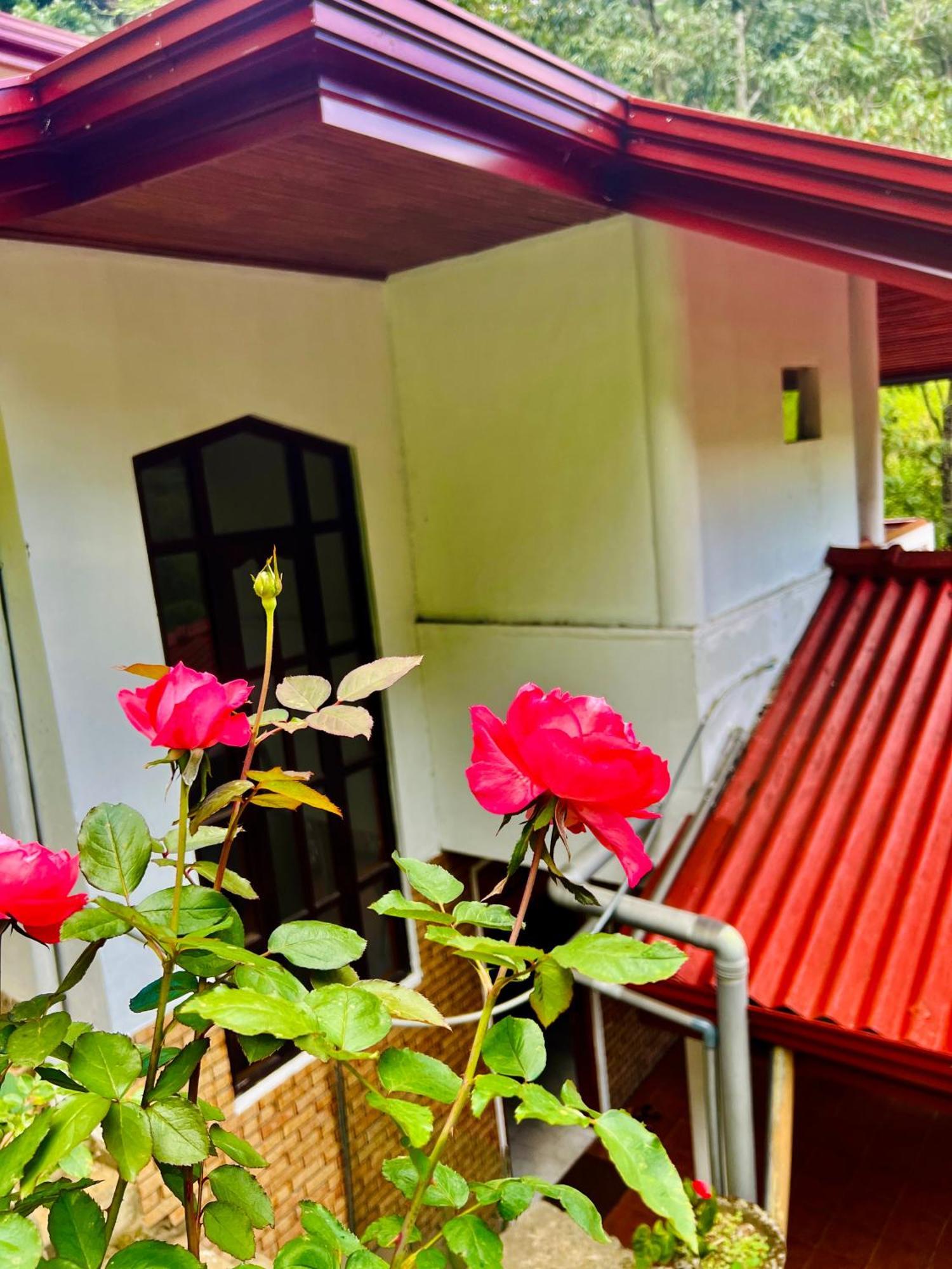 Pineview Lodge אלה מראה חיצוני תמונה
